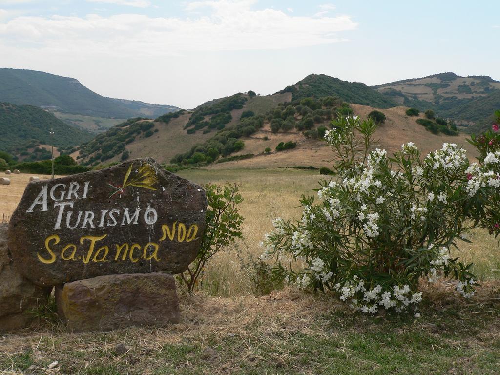 Agriturismo Sa Tanca Noa Tergu Екстериор снимка