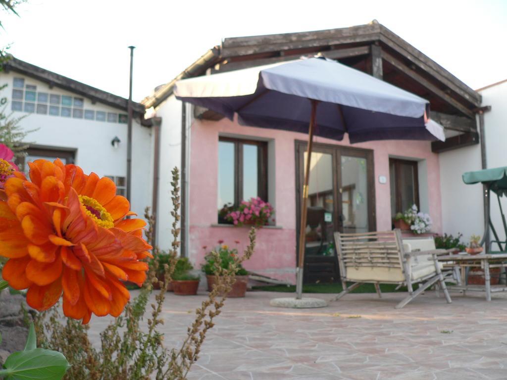 Agriturismo Sa Tanca Noa Tergu Екстериор снимка