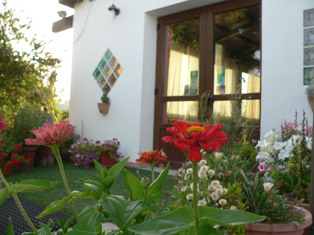 Agriturismo Sa Tanca Noa Tergu Екстериор снимка