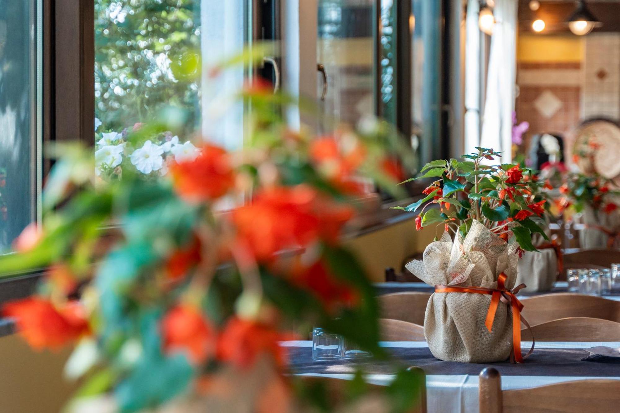 Agriturismo Sa Tanca Noa Tergu Екстериор снимка