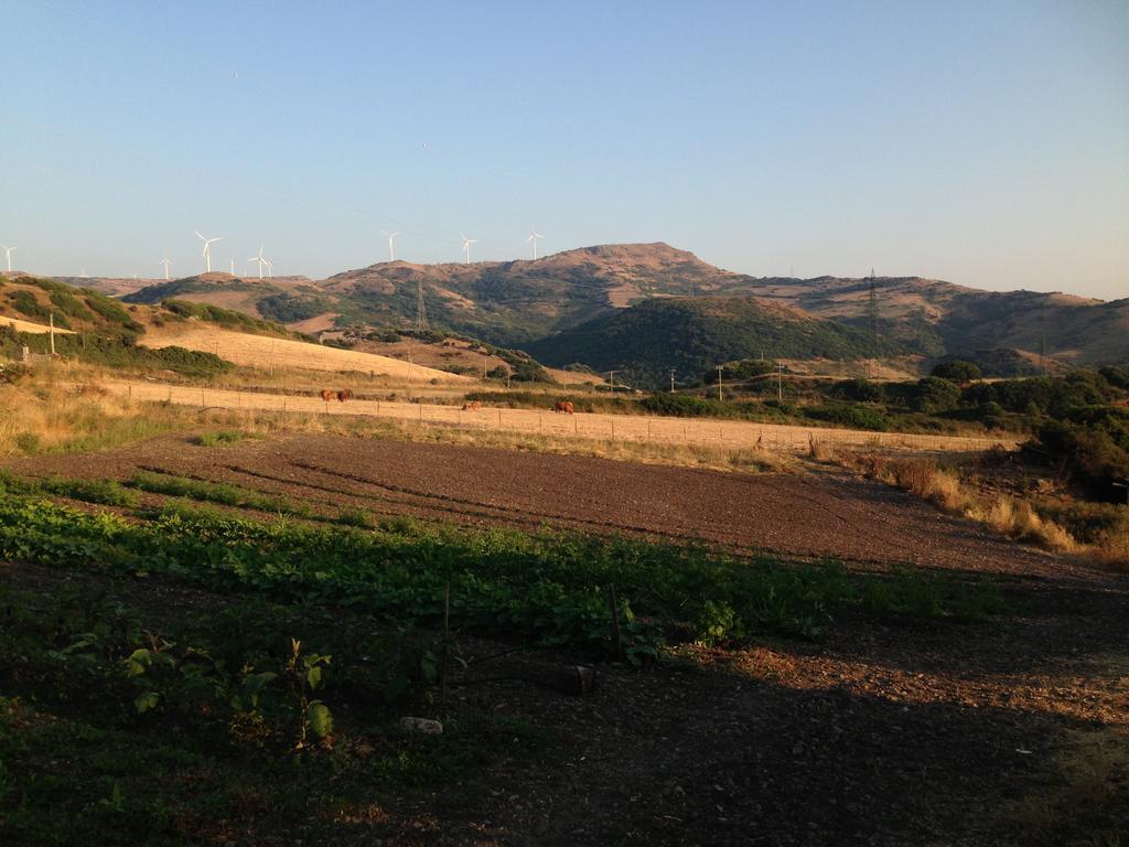 Agriturismo Sa Tanca Noa Tergu Екстериор снимка