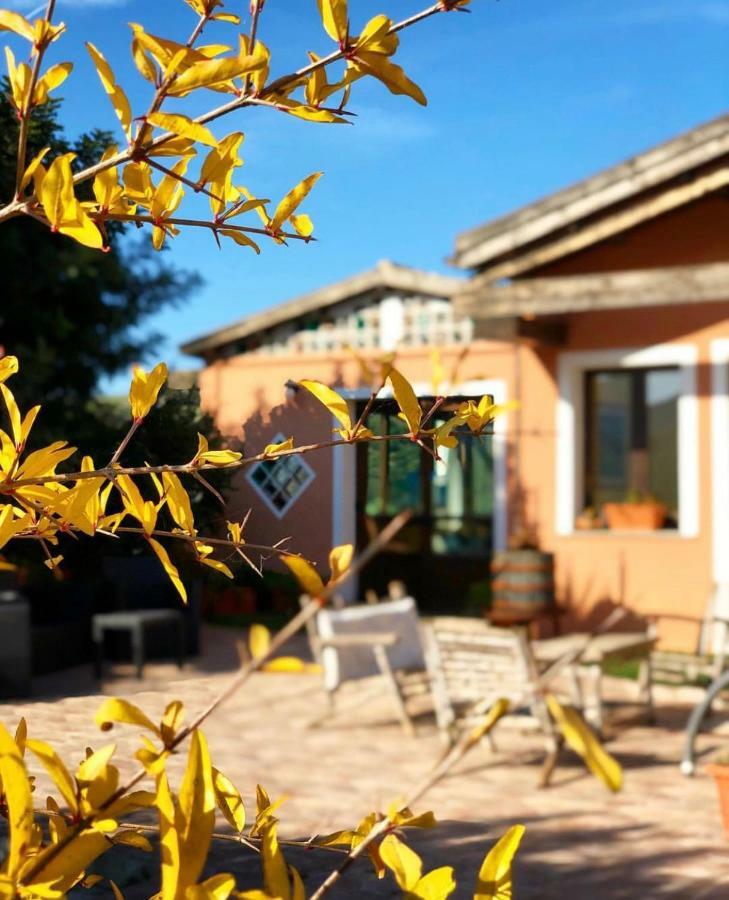Agriturismo Sa Tanca Noa Tergu Екстериор снимка