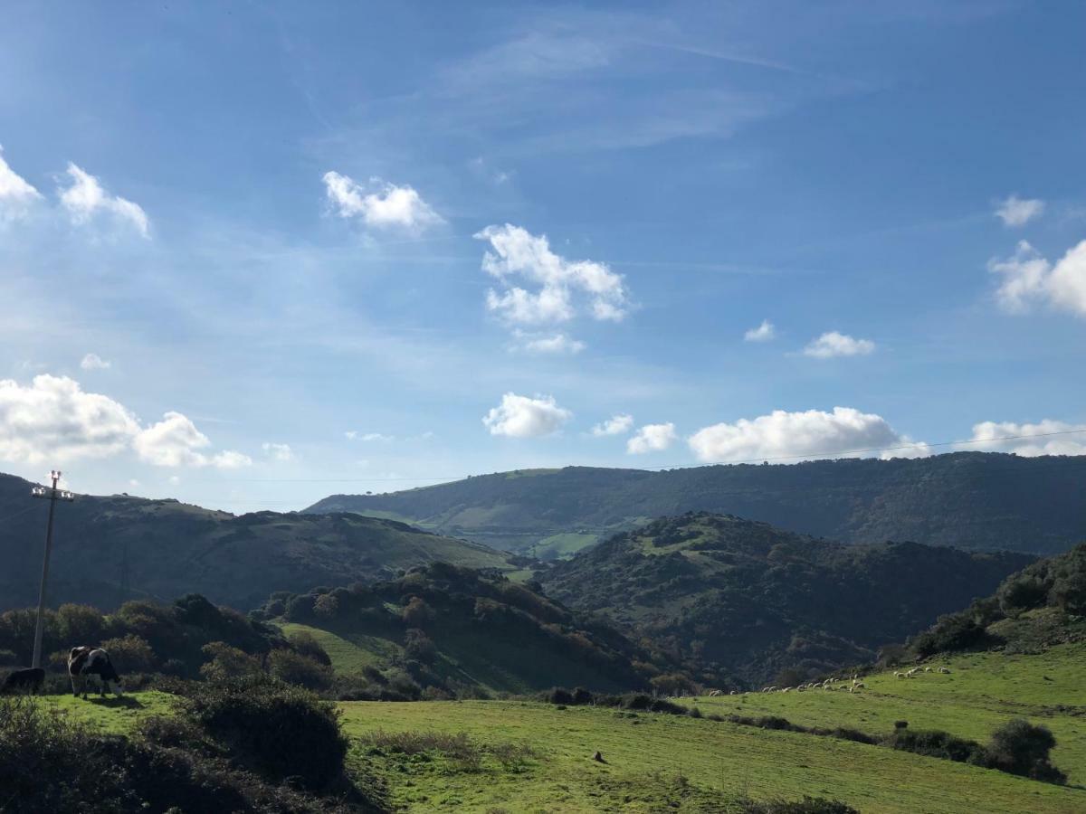 Agriturismo Sa Tanca Noa Tergu Екстериор снимка