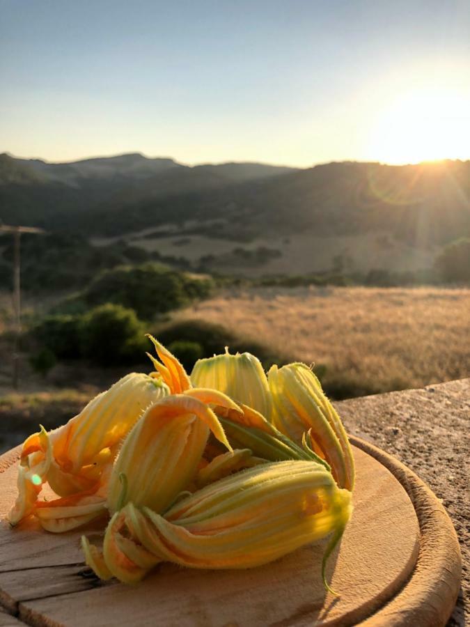 Agriturismo Sa Tanca Noa Tergu Екстериор снимка